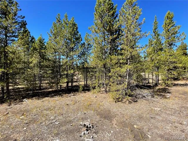 300 Virginia Avenue Leadville, CO 80461
