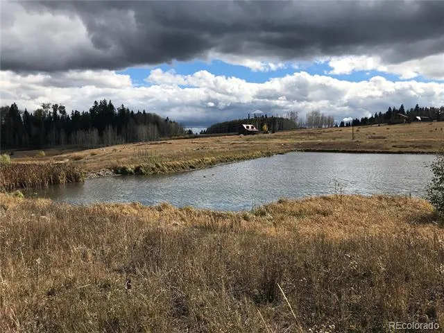 205 Lost Valley Drive Creede, CO 81130