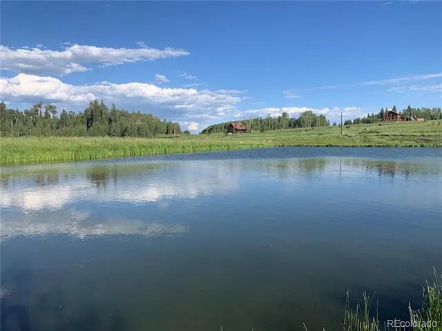 205 Lost Valley Drive Creede, CO 81130