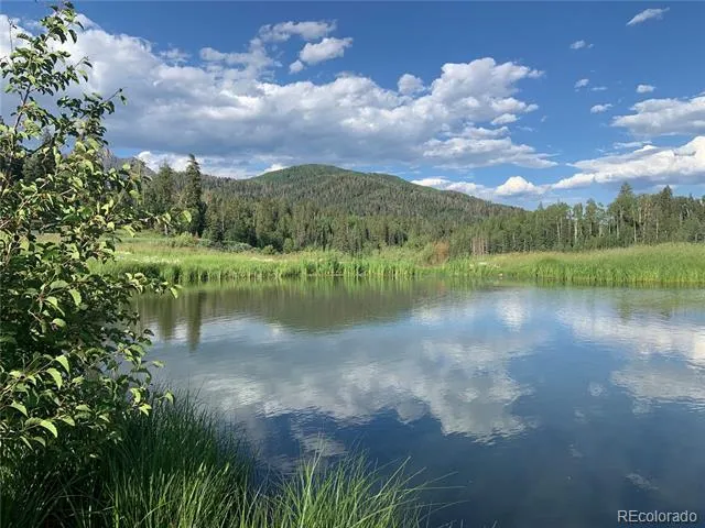 205 Lost Valley Drive Creede, CO 81130