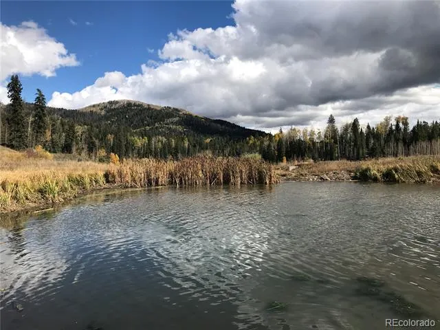 205 Lost Valley Drive Creede, CO 81130