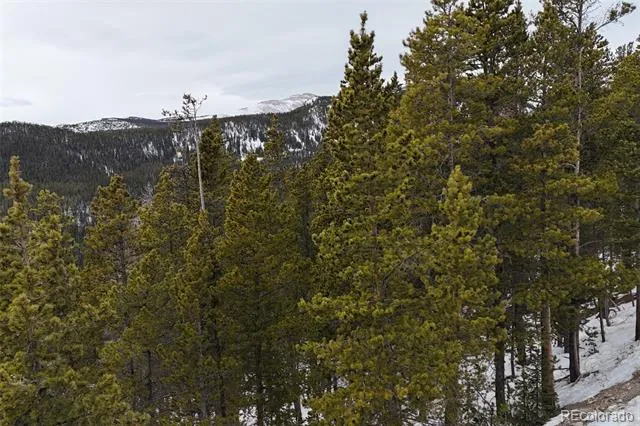 156 Vista Road Idaho Springs, CO 80452