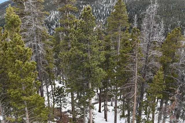 156 Vista Road Idaho Springs, CO 80452