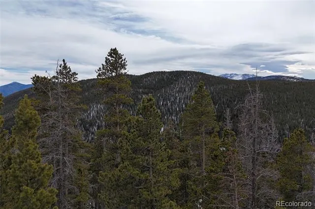 156 Vista Road Idaho Springs, CO 80452
