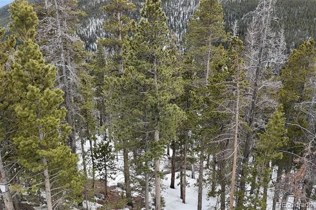 156 Vista Road Idaho Springs, CO 80452
