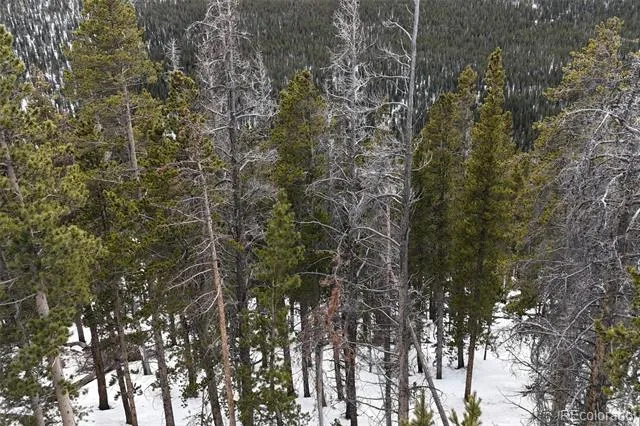 156 Vista Road Idaho Springs, CO 80452