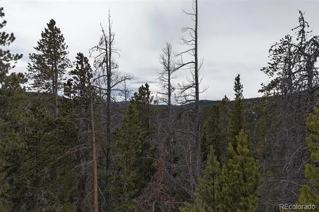 156 Vista Road Idaho Springs, CO 80452