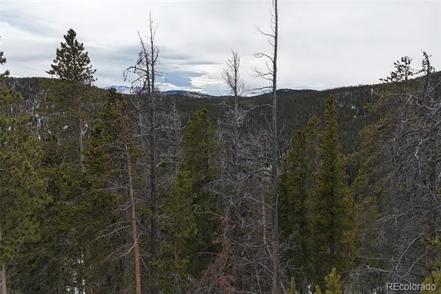 156 Vista Road Idaho Springs, CO 80452