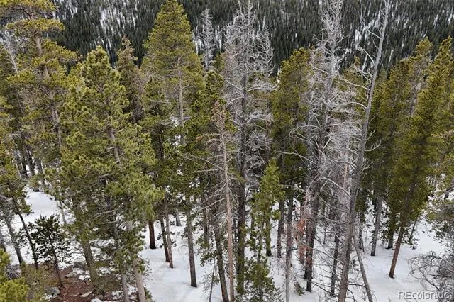 156 Vista Road Idaho Springs, CO 80452