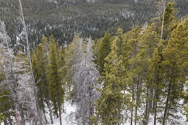 156 Vista Road Idaho Springs, CO 80452