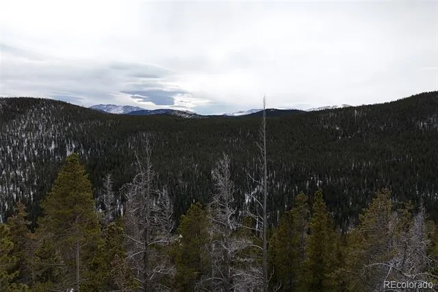 156 Vista Road Idaho Springs, CO 80452