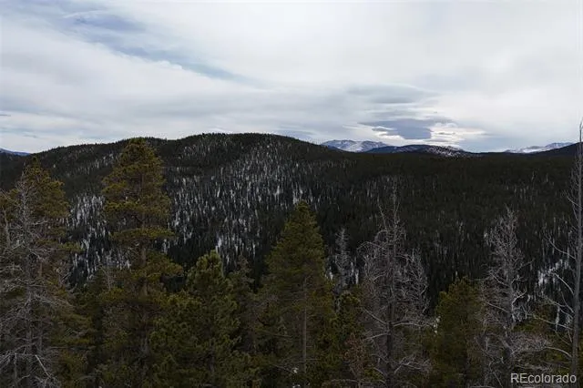 156 Vista Road Idaho Springs, CO 80452