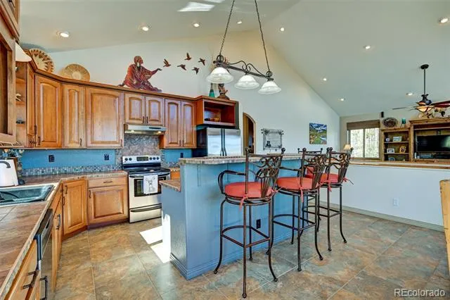 1136 Bellows Road Hartsel, CO 80449