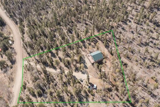1136 Bellows Road Hartsel, CO 80449