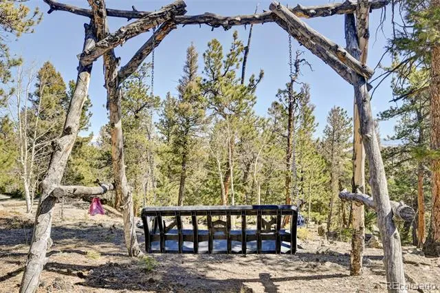 1136 Bellows Road Hartsel, CO 80449