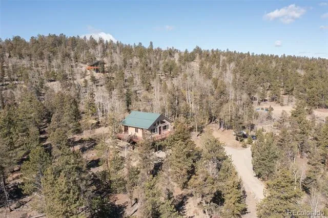 1136 Bellows Road Hartsel, CO 80449