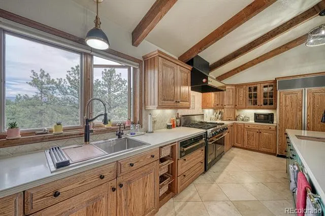 18165 Alta Vista Drive Buena Vista, CO 81211