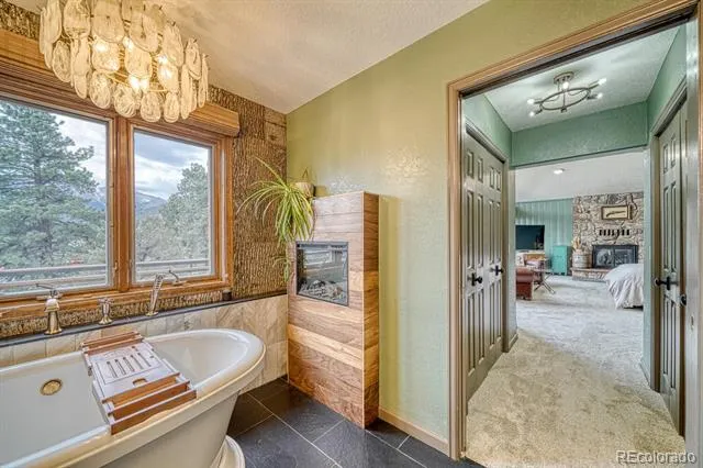 18165 Alta Vista Drive Buena Vista, CO 81211