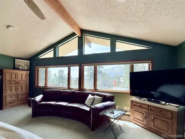 18165 Alta Vista Drive Buena Vista, CO 81211