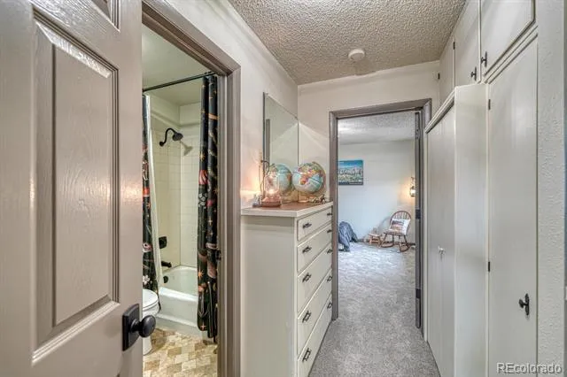 18165 Alta Vista Drive Buena Vista, CO 81211