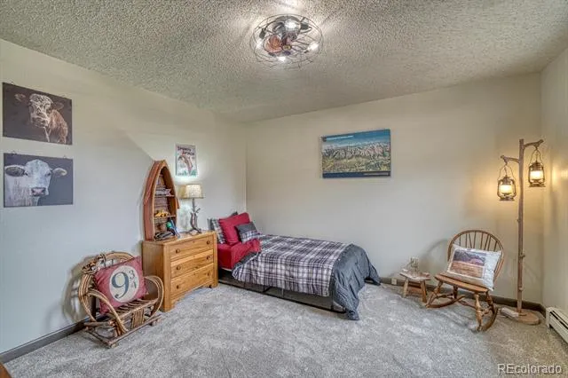 18165 Alta Vista Drive Buena Vista, CO 81211