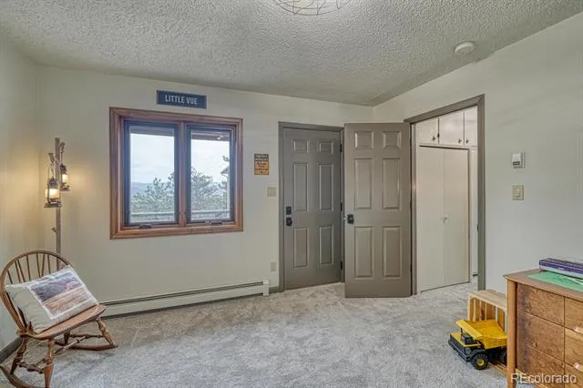 18165 Alta Vista Drive Buena Vista, CO 81211