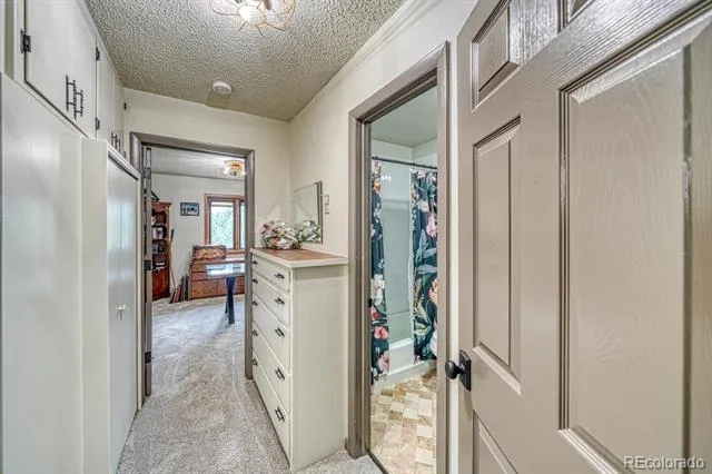 18165 Alta Vista Drive Buena Vista, CO 81211