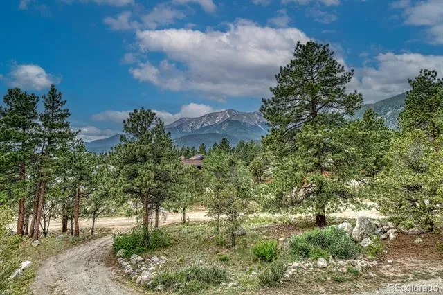 18165 Alta Vista Drive Buena Vista, CO 81211