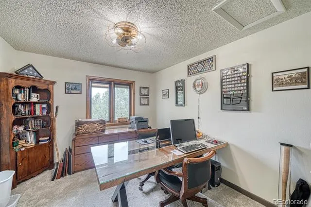18165 Alta Vista Drive Buena Vista, CO 81211