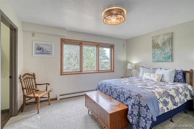 18165 Alta Vista Drive Buena Vista, CO 81211