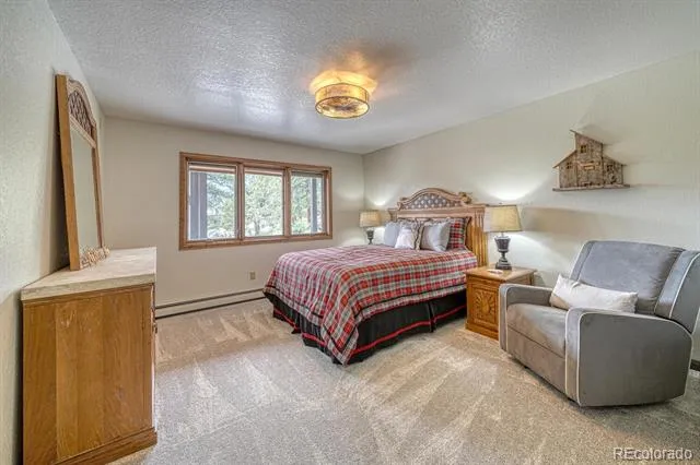 18165 Alta Vista Drive Buena Vista, CO 81211