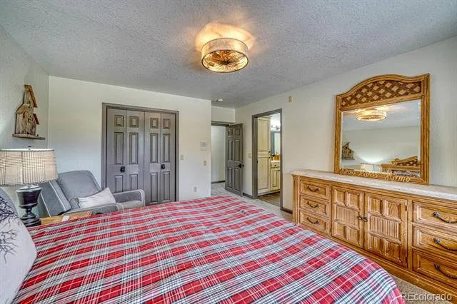 18165 Alta Vista Drive Buena Vista, CO 81211