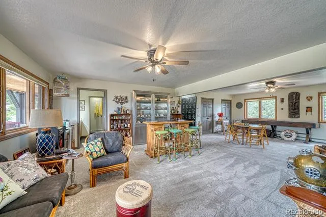 18165 Alta Vista Drive Buena Vista, CO 81211