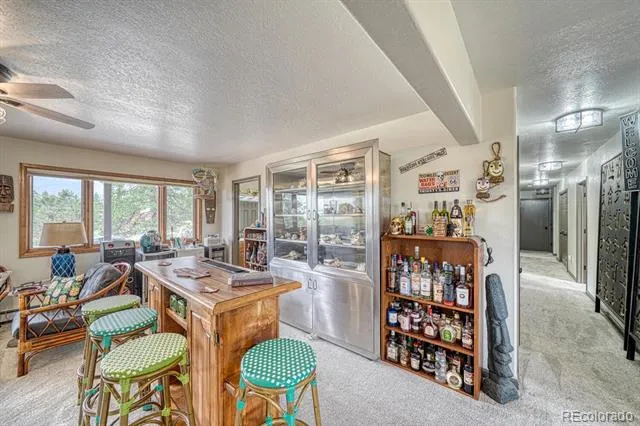 18165 Alta Vista Drive Buena Vista, CO 81211