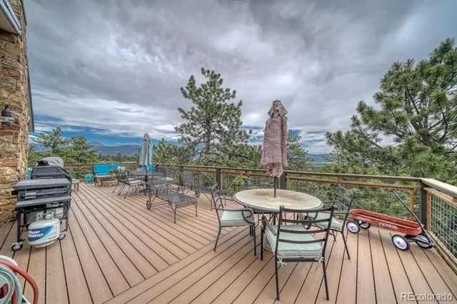 18165 Alta Vista Drive Buena Vista, CO 81211