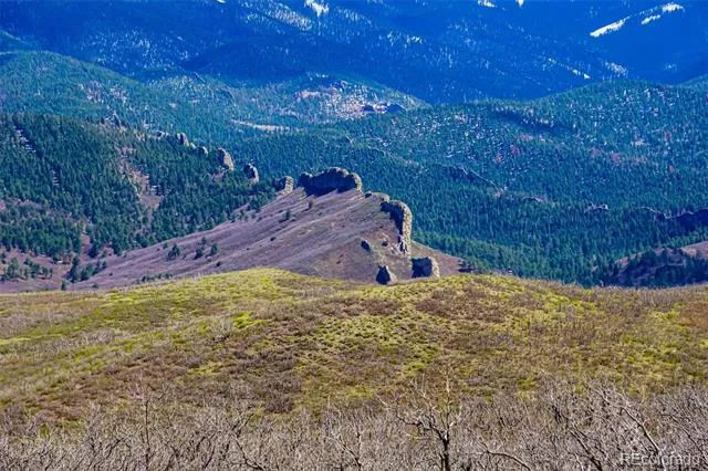 TBD Rilling Canyon La Veta, CO 81055