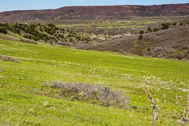 TBD Rilling Canyon La Veta, CO 81055
