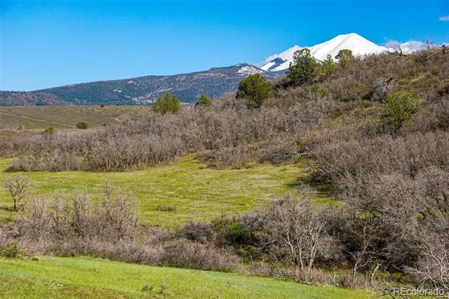 TBD Rilling Canyon La Veta, CO 81055