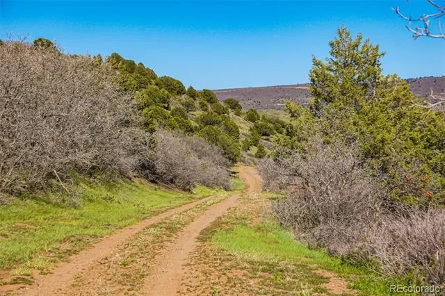 TBD Rilling Canyon La Veta, CO 81055