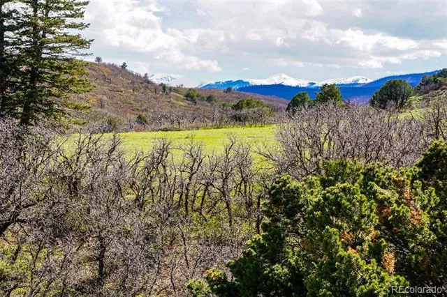 TBD Rilling Canyon La Veta, CO 81055