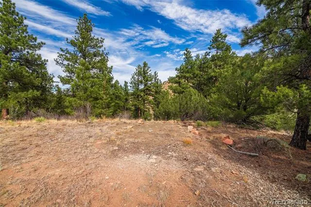 881 Vista De Aspen Road Westcliffe, CO 81252