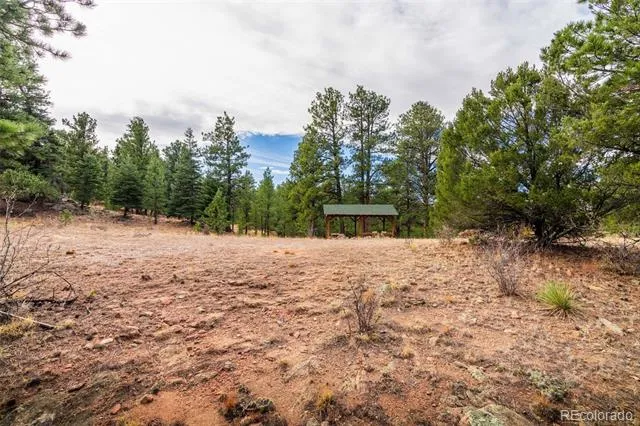 881 Vista De Aspen Road Westcliffe, CO 81252
