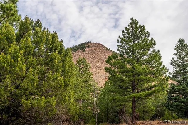 881 Vista De Aspen Road Westcliffe, CO 81252