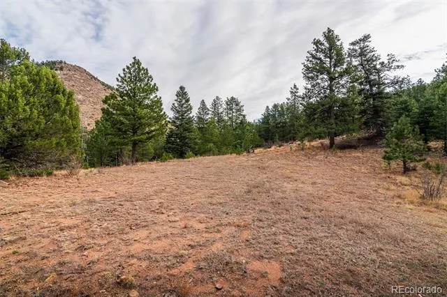 881 Vista De Aspen Road Westcliffe, CO 81252
