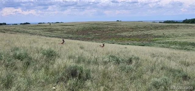 County Rd 95 Orchard, CO 80654