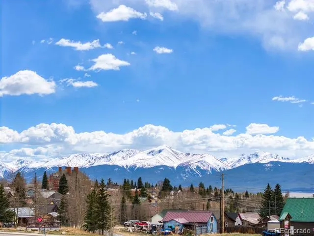 1301,1303,1305,1307 Silver Vault Street Leadville, CO 80461