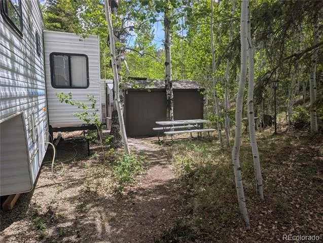 643 Depot Drive Hartsel, CO 80449