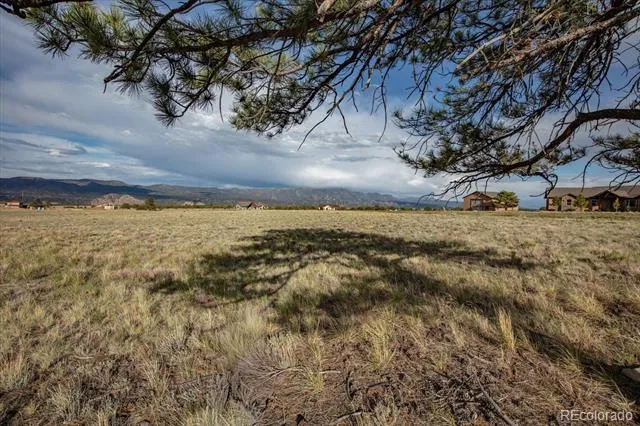 14668 S Stagecoach Lane Buena Vista, CO 81211