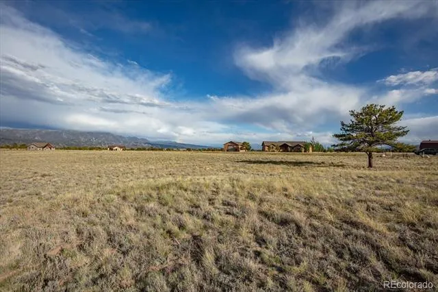 14668 S Stagecoach Lane Buena Vista, CO 81211