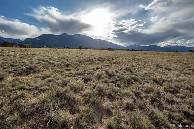 14668 S Stagecoach Lane Buena Vista, CO 81211